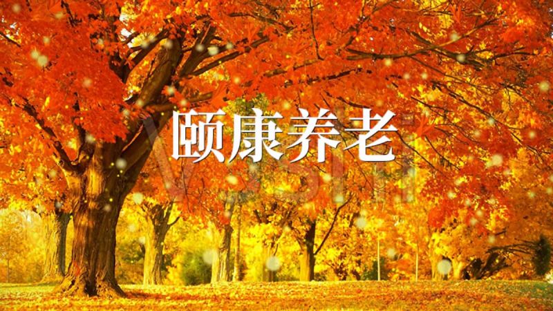 頤康養老